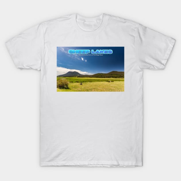 Sheep Lakes at Rocky Mountain National Park T-Shirt by Gestalt Imagery